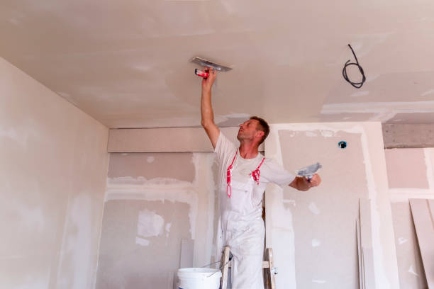 Best Remodeling Drywall  in USA